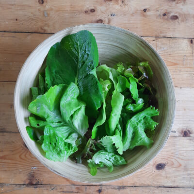 Mixed Salad Leaves - Organic
